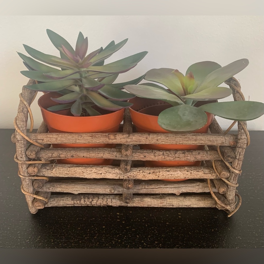 Rustic Twig Planter